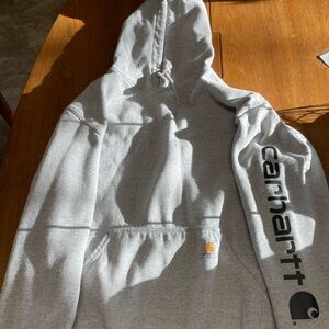 Carhartt loose fit midweight logo sleeve graphic hoodie